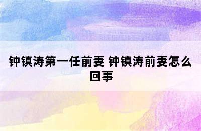 钟镇涛第一任前妻 钟镇涛前妻怎么回事